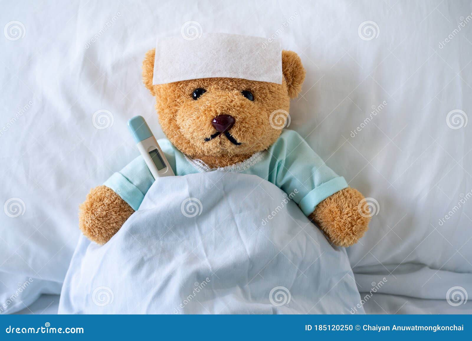 Sick Bear With Bandaged Hand Stock Photo, Picture and Royalty Free Image.  Image 8658903.