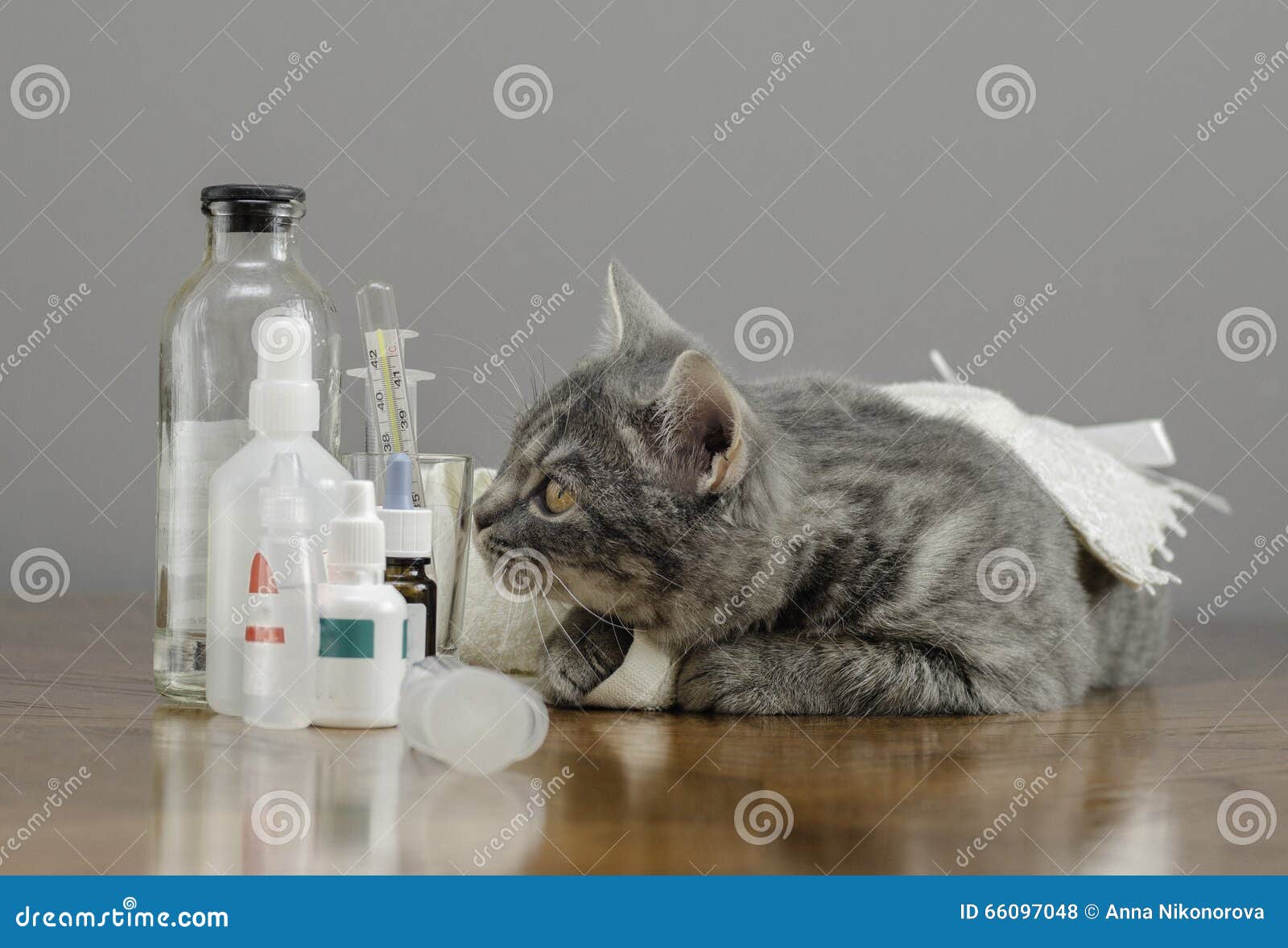 Sick Cat On A Table With Medicines Stock Photo Image of background