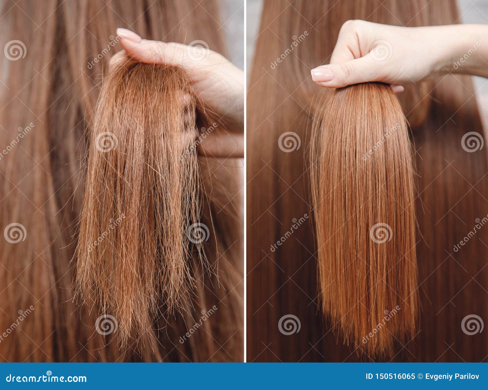 8,642 Keratin Hair Stock Photos - Free & Royalty-Free Stock Photos from Dreamstime 8,642 Keratin Hair Stock Photos - Free & Royalty-Free Stock Photos from Dreamstime