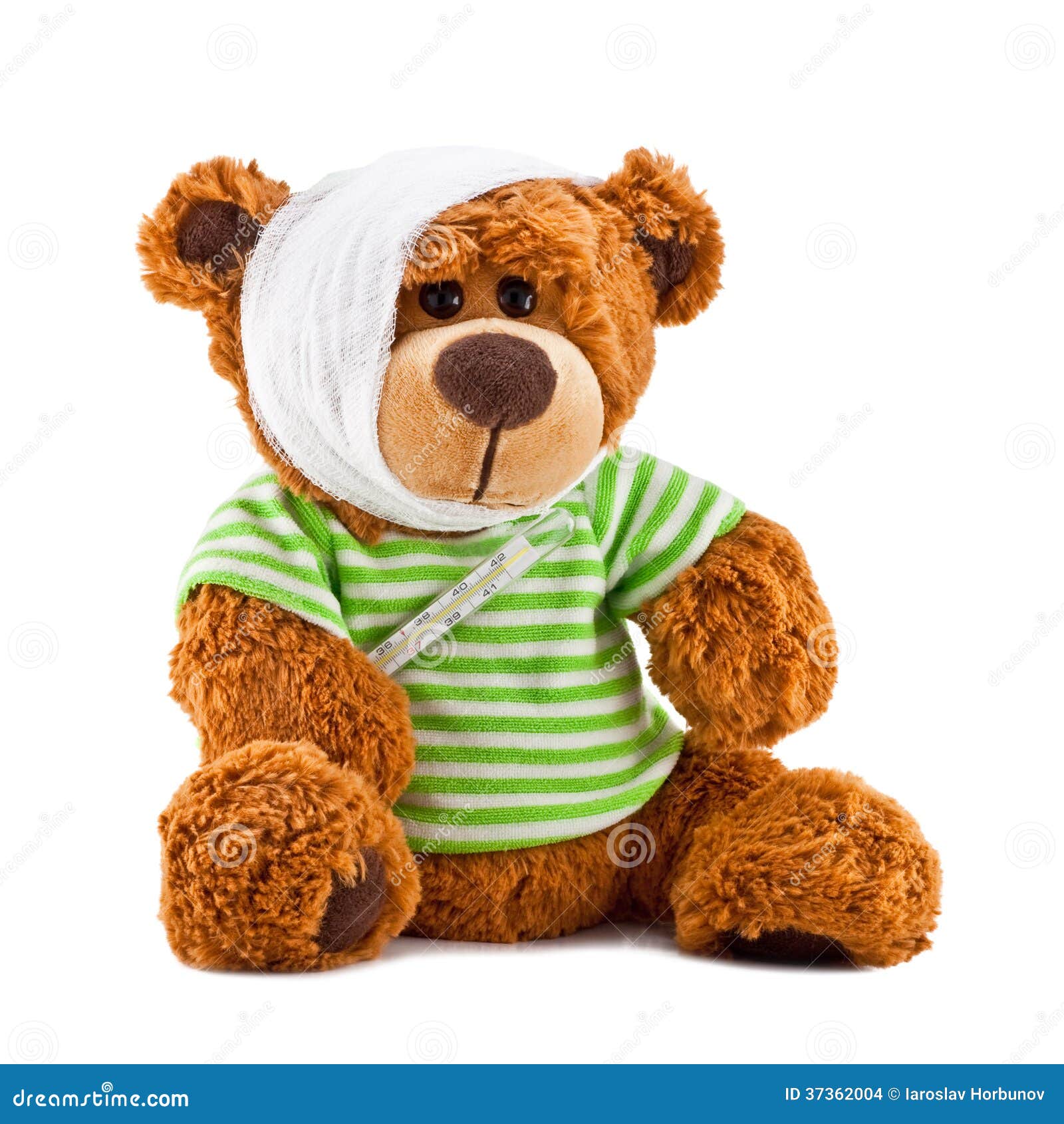 Sick Bear With Bandaged Hand Stock Photo, Picture and Royalty Free Image.  Image 8658903.