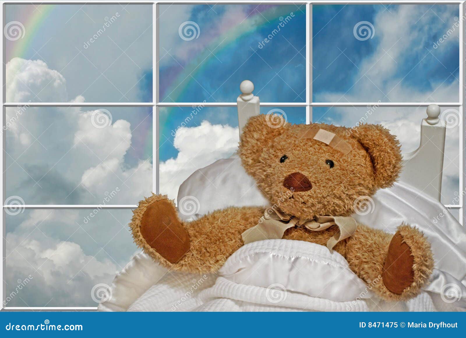 Hurt Bear Stock Photography 3570278