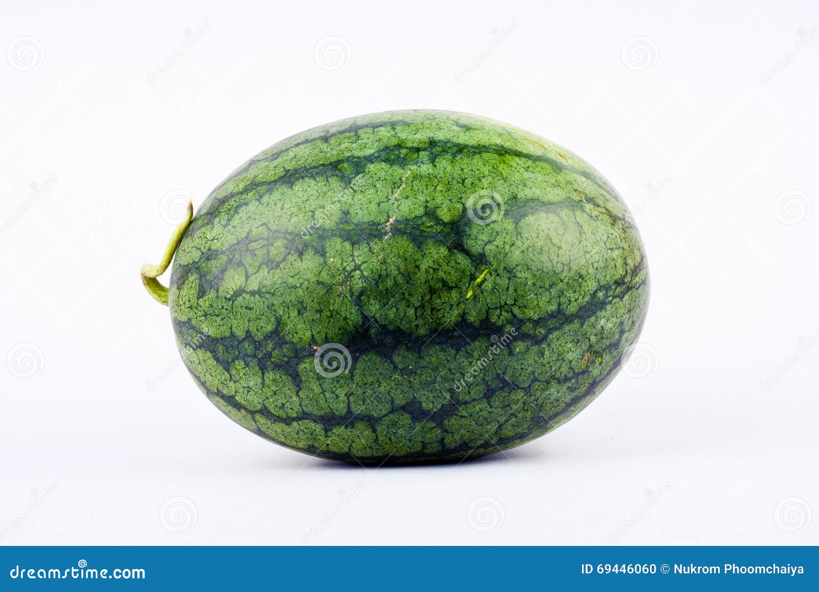 Side of the Melon is Green Stripes are Unique. Stock Photo Image of