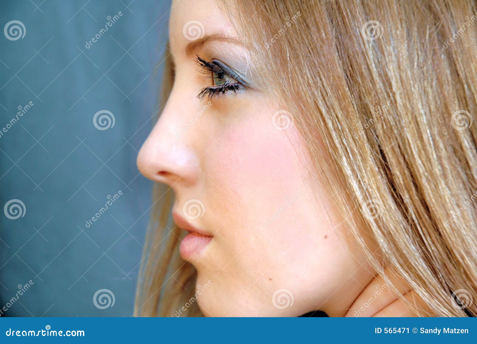 Side Profile Stock Image Image Of Make, Woman, Blue, Model - 565471