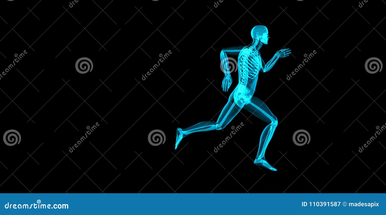 side view 3d  of a jogger with visible skeleton