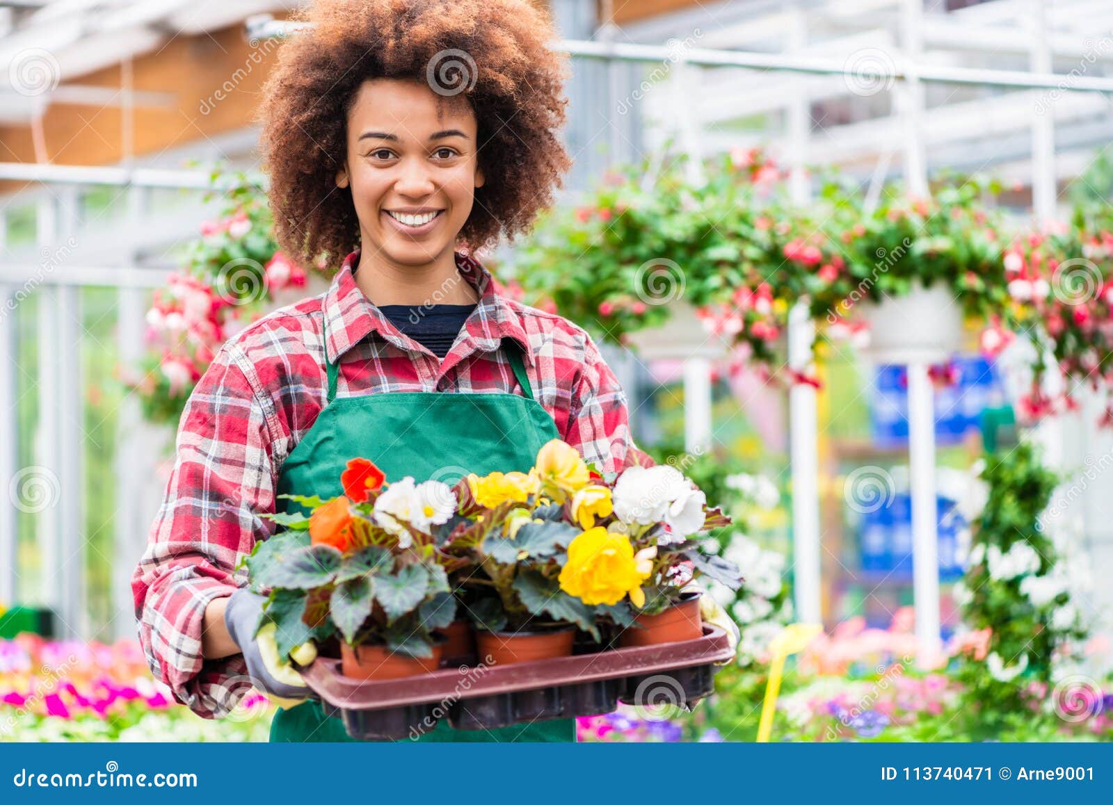 side view of a dedicated florist holding a tray with decorative flowers