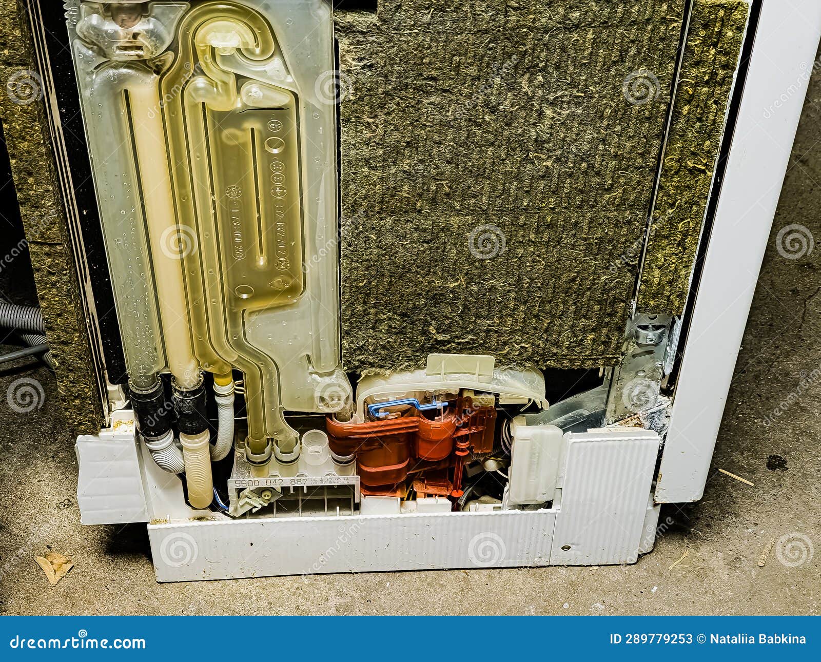 Side View of the Dishwasher without the Top Panel. Working System for