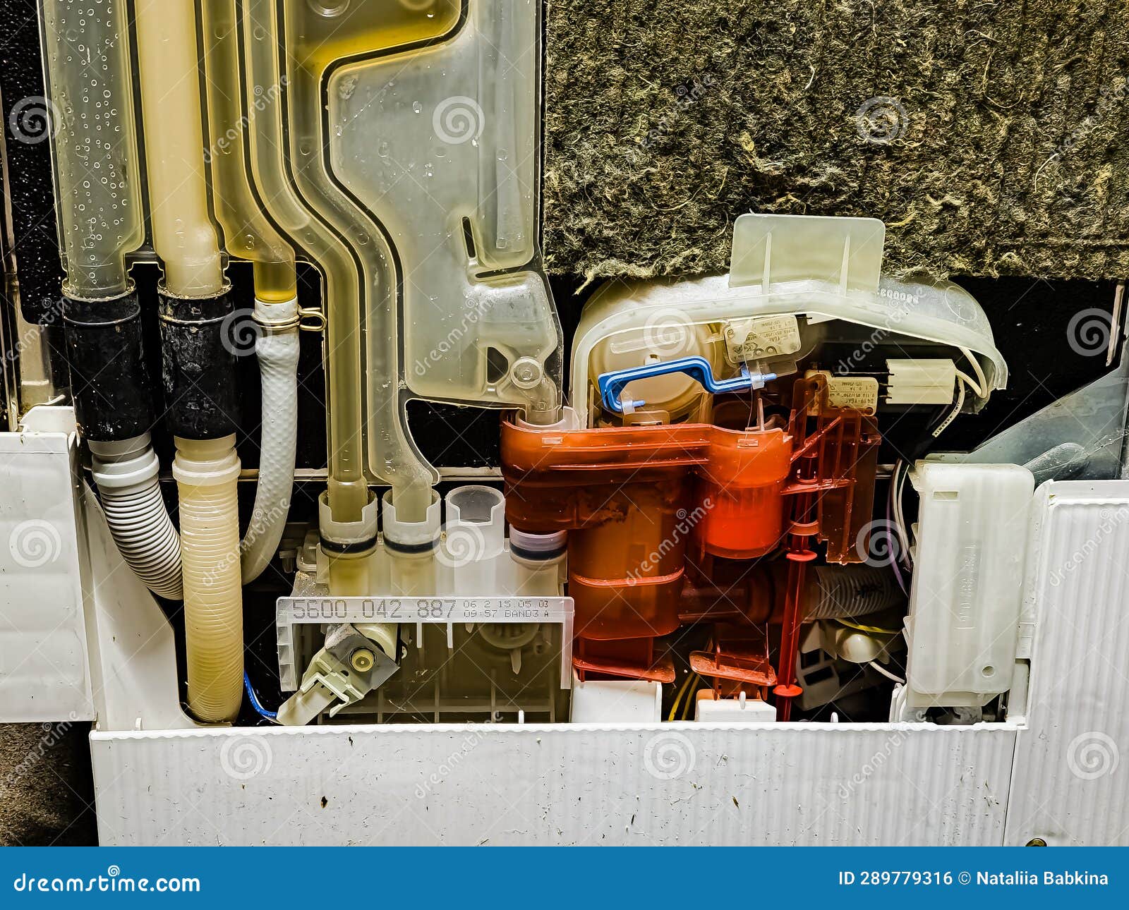 Side View of the Dishwasher without the Top Panel. Working System for