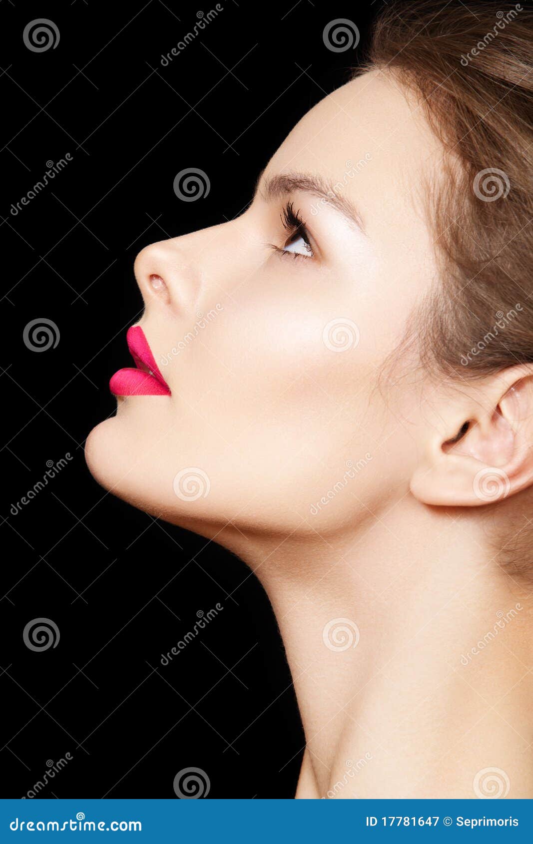 Side View Female Model Face With Perfect Make Up Royalty Free Stock