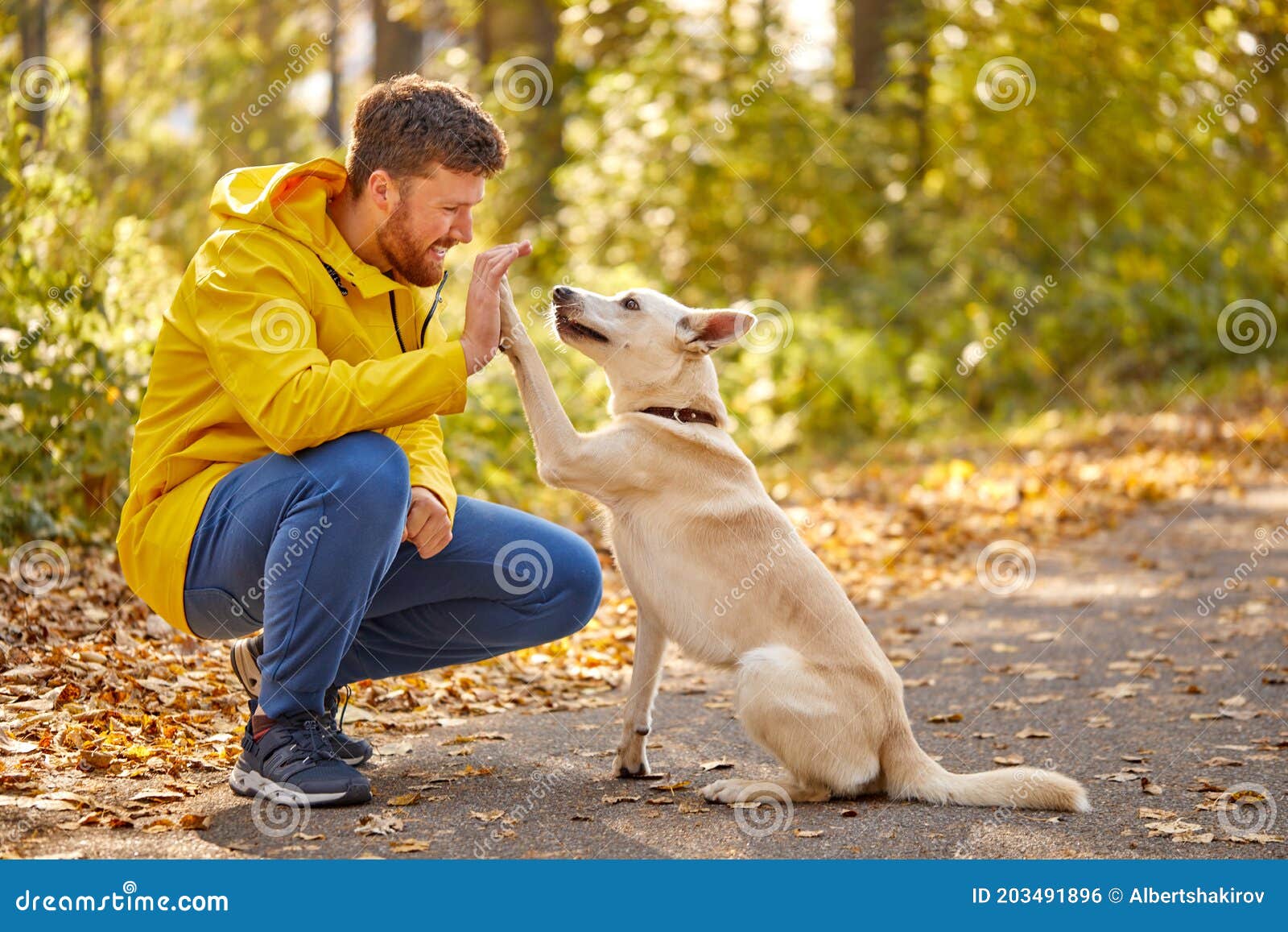 Side View on Friendly Man Playing with Dog in the Nature Stock Photo -  Image of outdoor, outdoors: 203491896