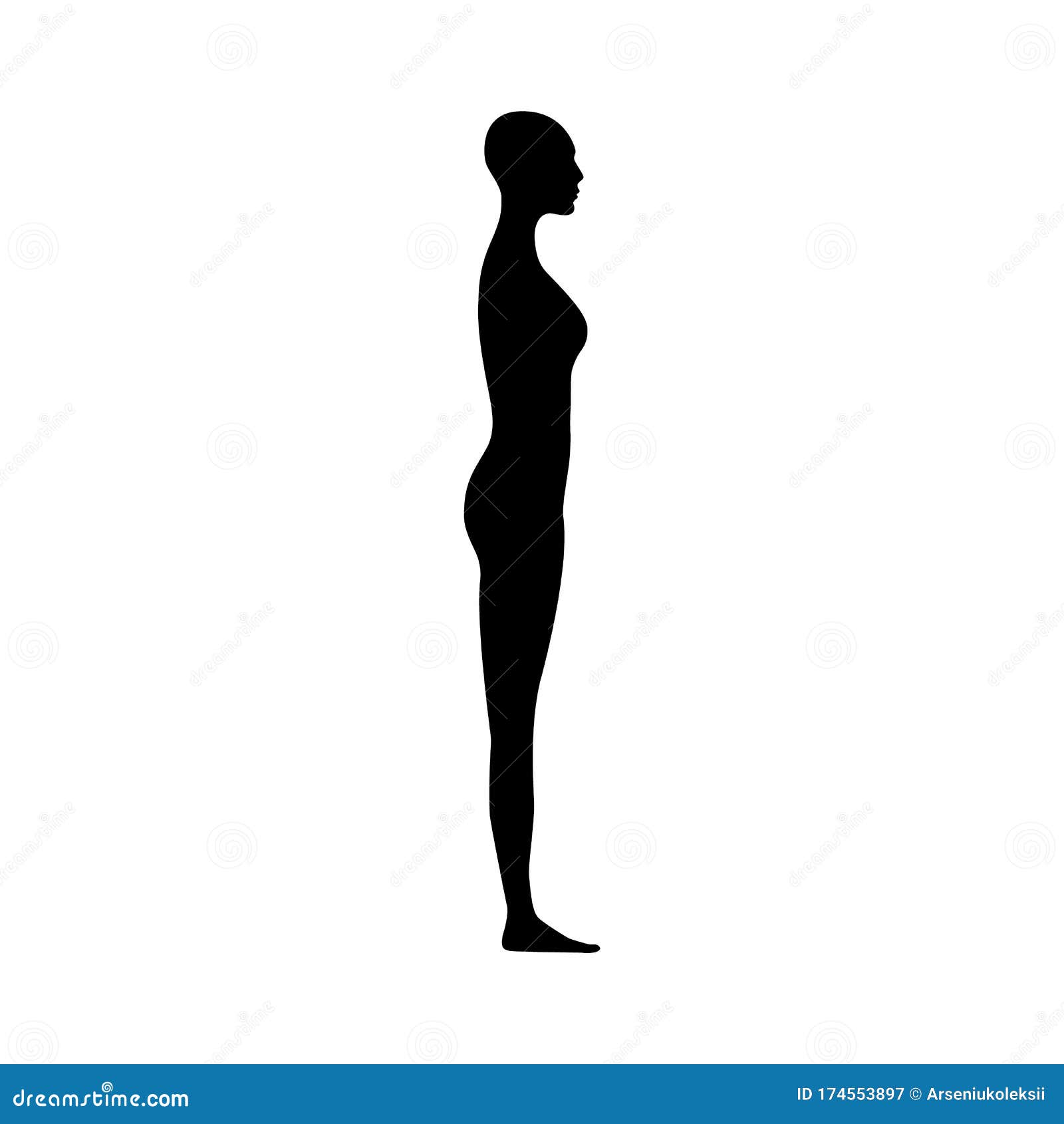 Side View of Female Body Silhouette Stock Vector - Illustration of head,  body: 174553897