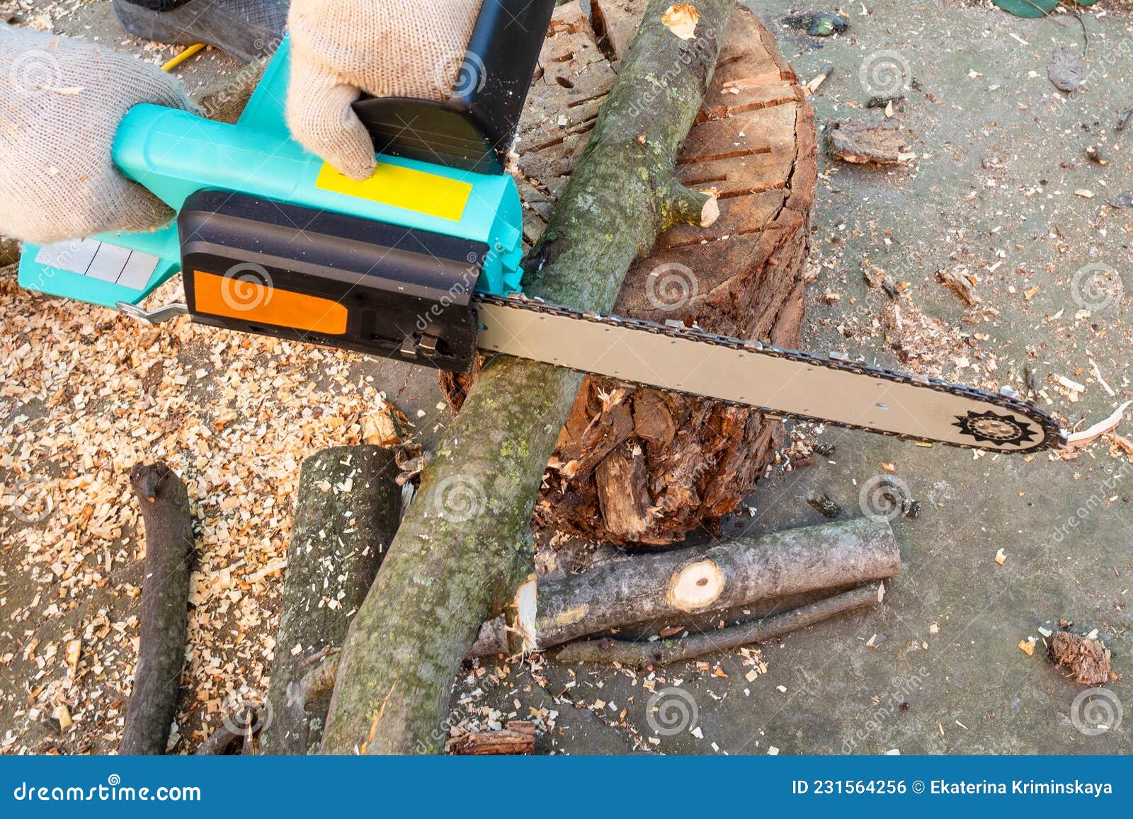 Side View of Sawing Tree Branch with Electric Saw Stock Photo Image