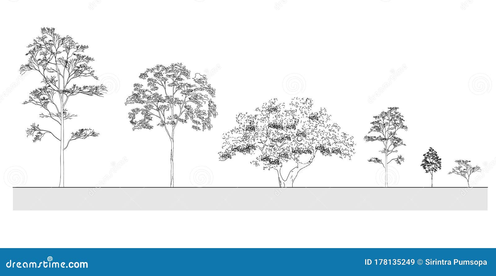 side view, set of graphics trees s outline  for architecture and landscape  drawing.  