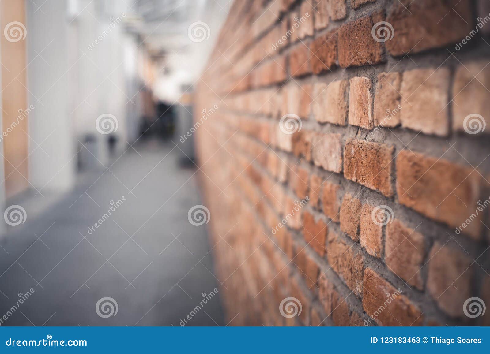 1,402 Side View White Brick Wall Background Stock Photos - Free &  Royalty-Free Stock Photos from Dreamstime