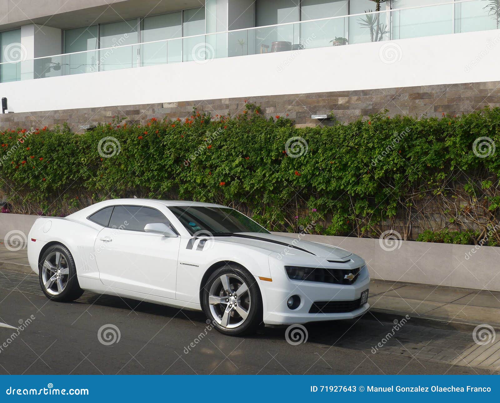 Side View of a White Color Chevrolet Camaro SS Editorial Stock Photo -  Image of exclusive, black: 71927643