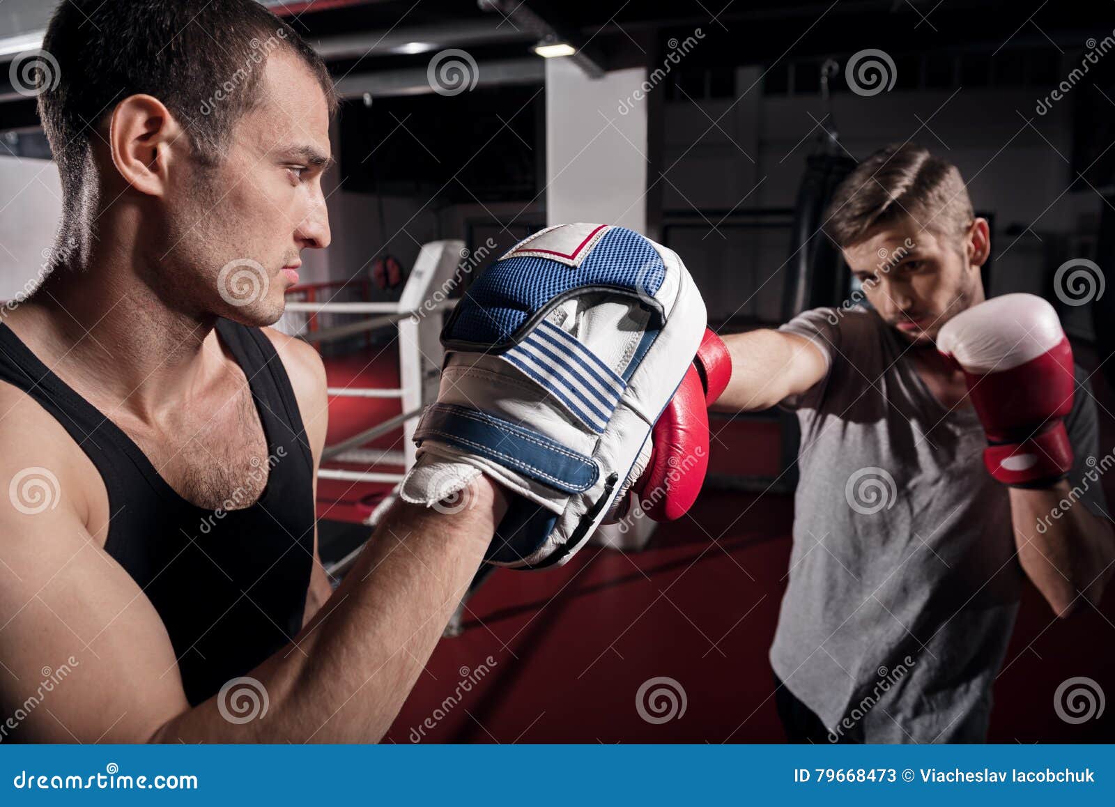 669 Boxing Pad Stock Photos - Free & Royalty-Free Stock Photos from  Dreamstime
