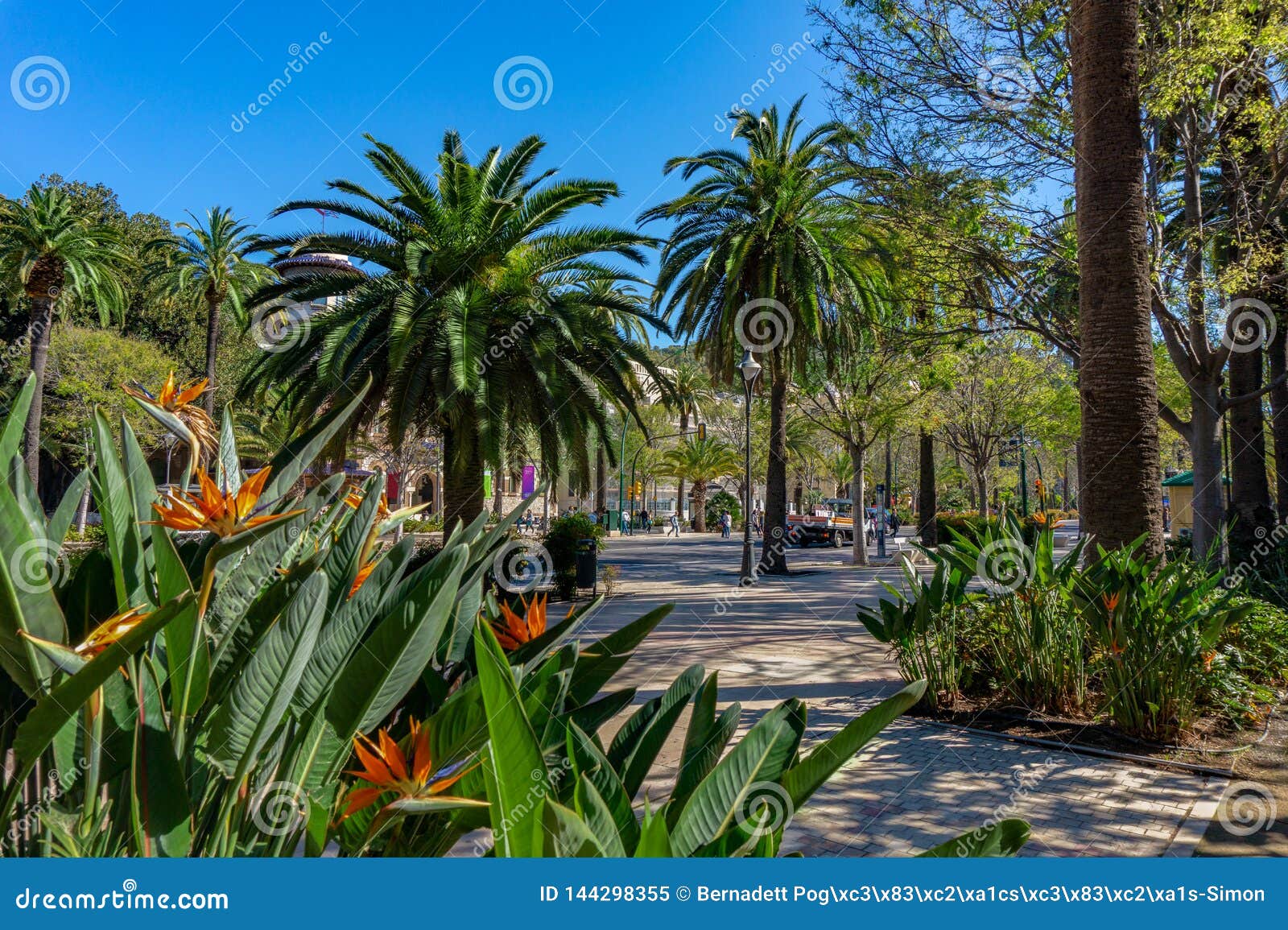 Sidewalk On The Paseo Del Parque In Malaga, Spain With Palm Trees ...