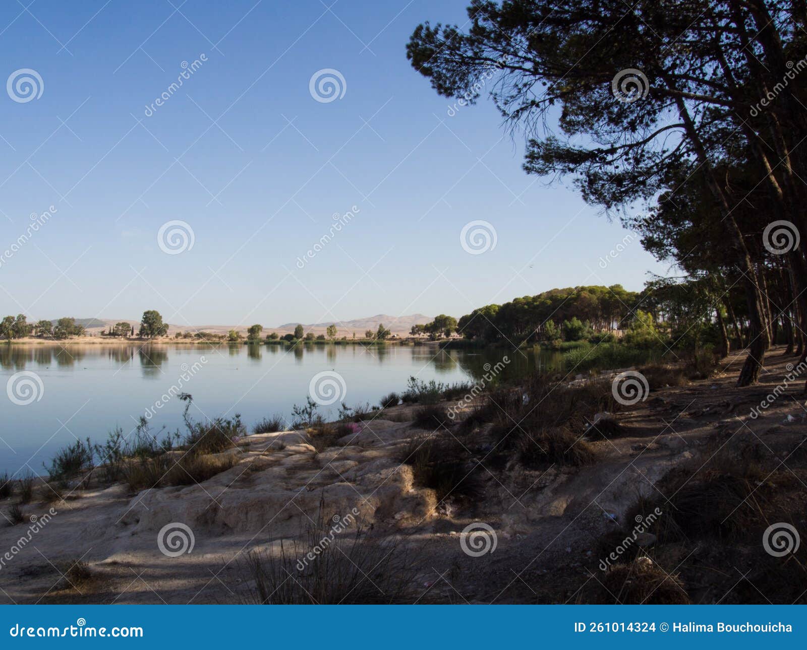 sidi mohamed ben lake sidi bel abbes algeria