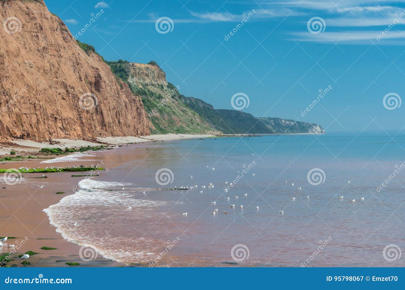 Sidmouth. stock image. Image of seaweed, green, freedom 95798067