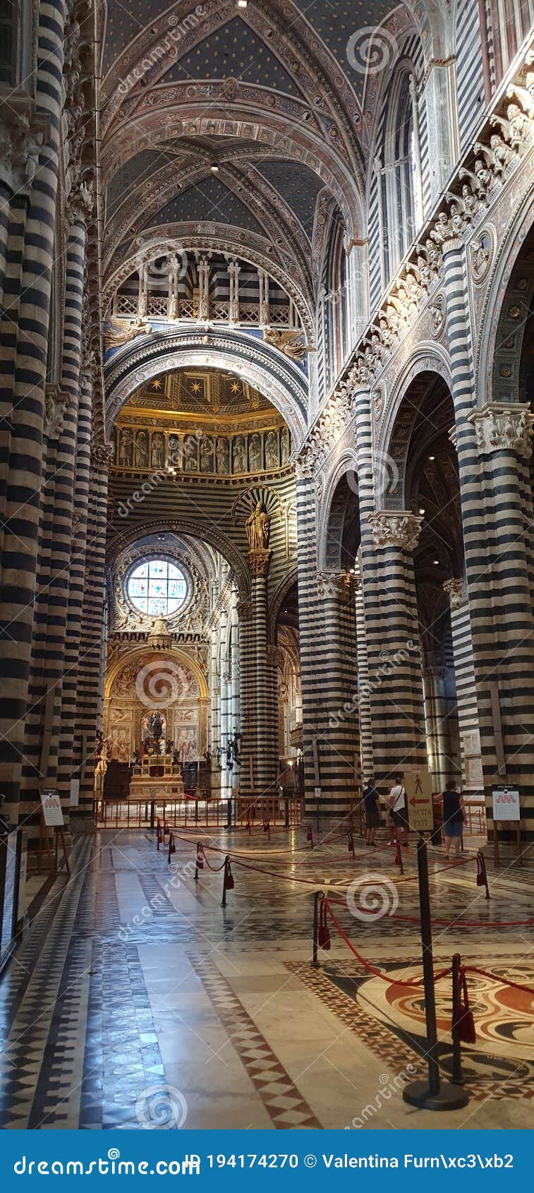 Siena Cathedral, the Dome, View from Inside. Columns and Vaults Forming
