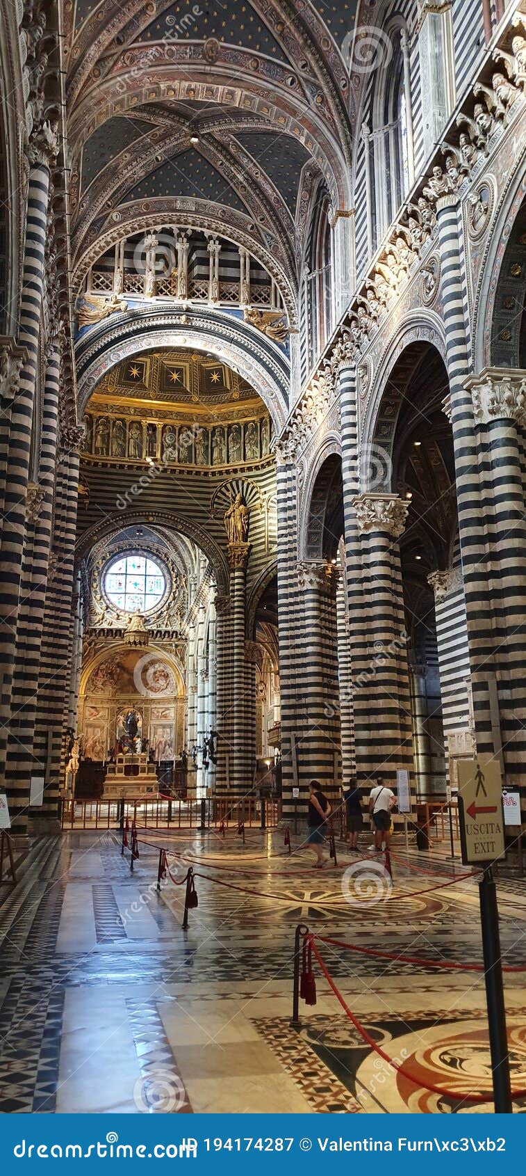 Siena Cathedral, the Dome, View from Inside. Columns and Vaults Forming