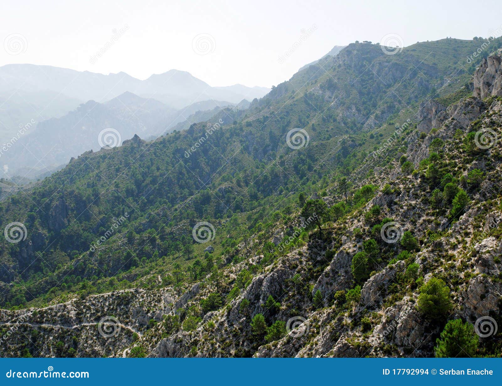 sierra nevada mountains