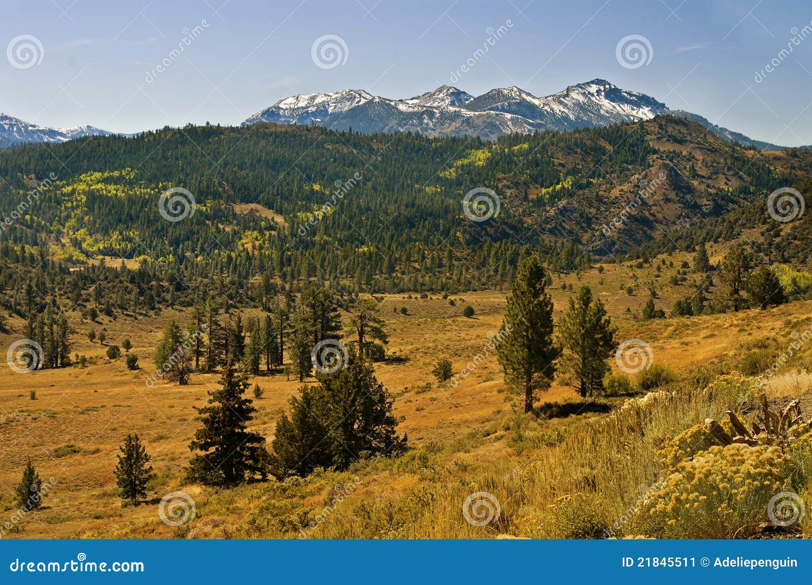 sierra nevada mountains panoramic, california