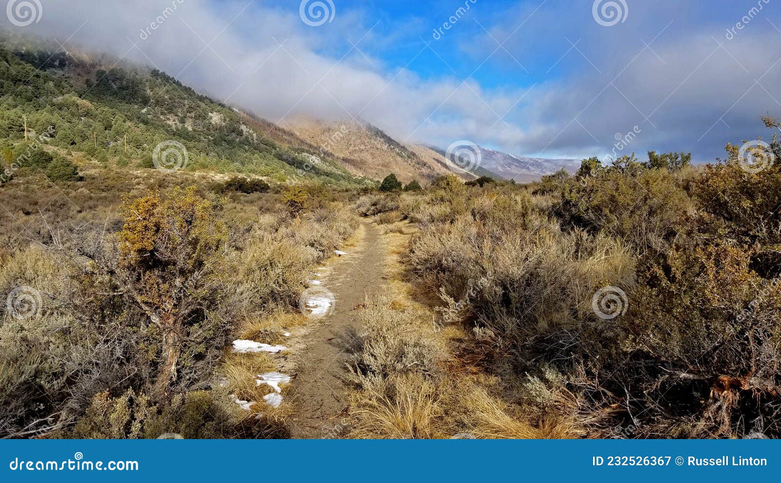 Sierra Trail Above Lee Vining California Stock Image - Image of weather,  desert: 232526367