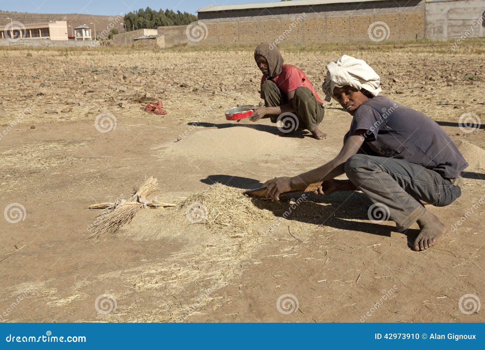 Sifting grain, Ethiopia editorial image. Image of sifting 42973910