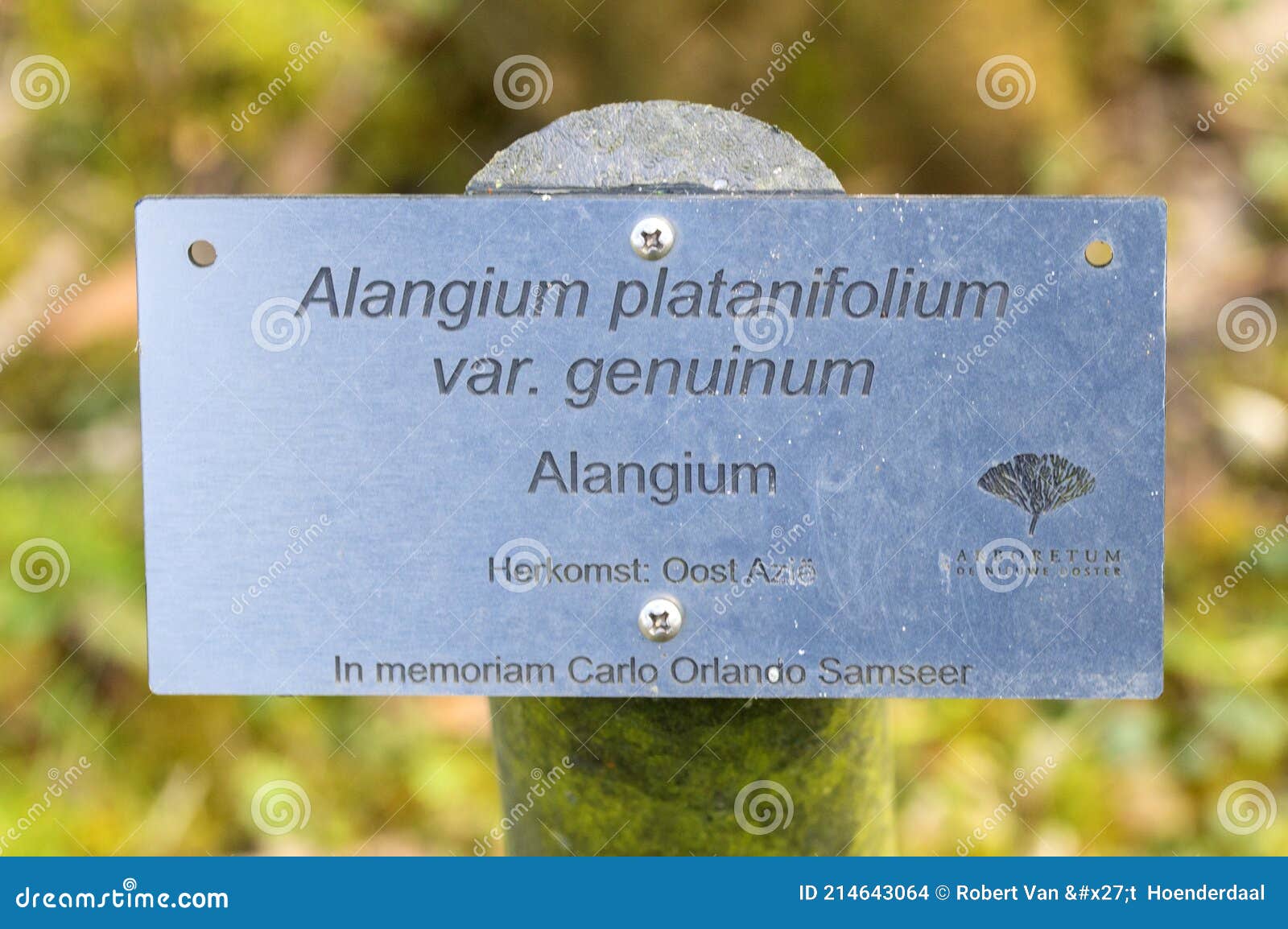 Sign Alangium Platanifolium Genuinum De Nieuwe Ooster at Amsterdam the Netherlands 26-3-2021 Editorial Image - Image of name, plate: 214643064