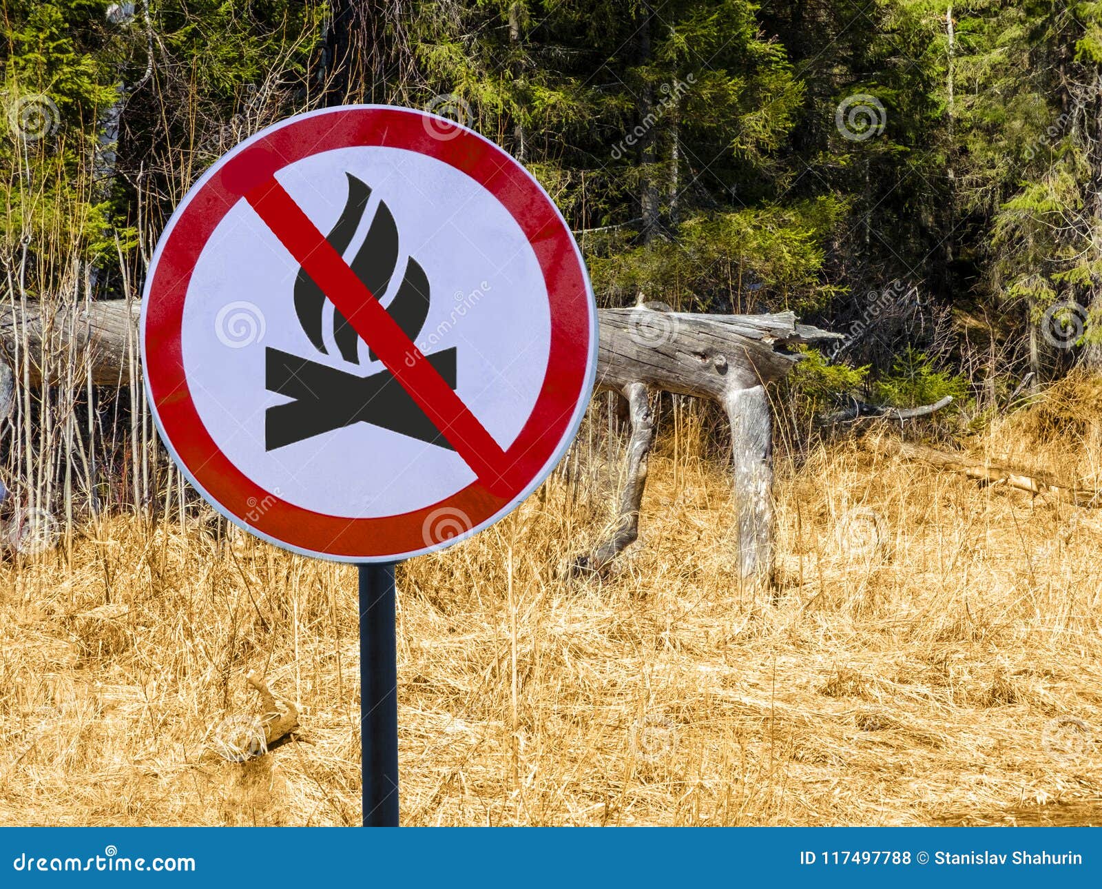 sign ban bonfires on the background of forest and dry grass and trees.