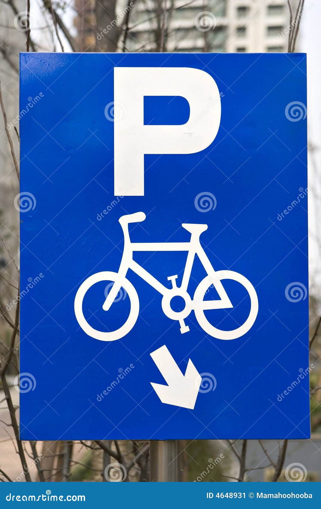Bicycle Parking Near The Bike Path In The Park/bikes Parking On Street