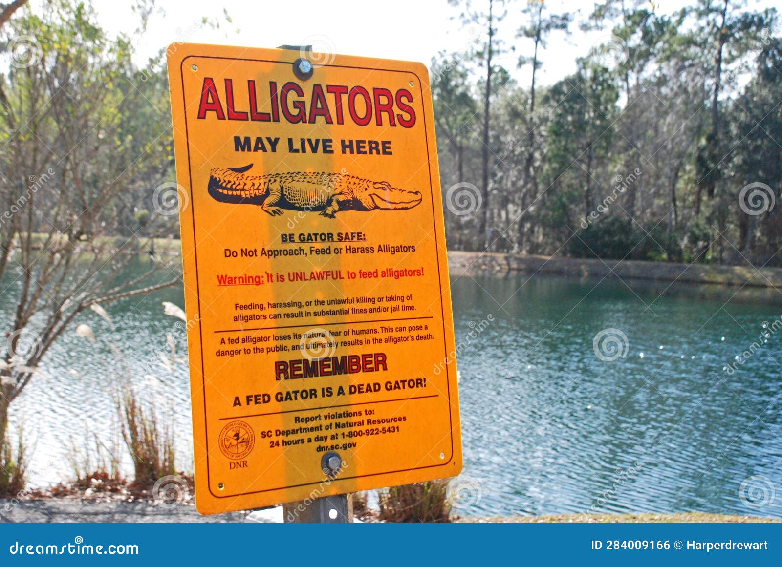 sign in charleston south carolina warning of alligators