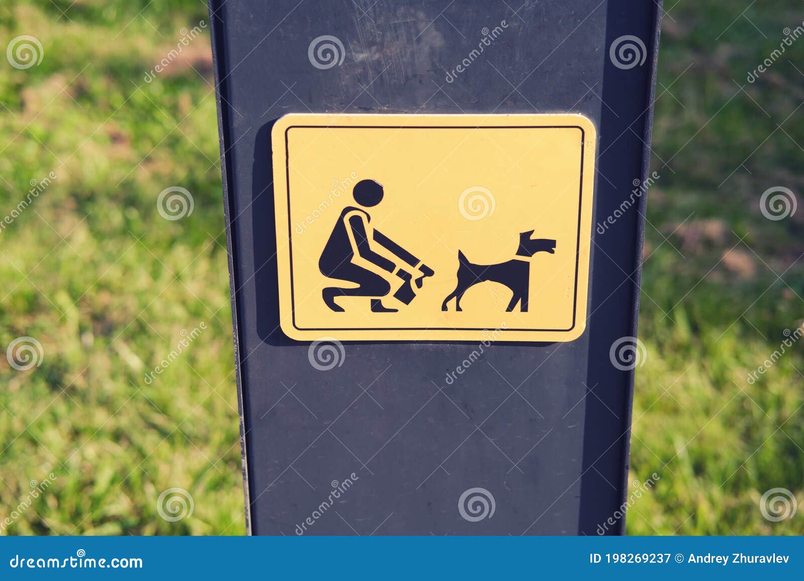 Sign Clean Up after Your Dogs on Walks Stock Image Image of safety
