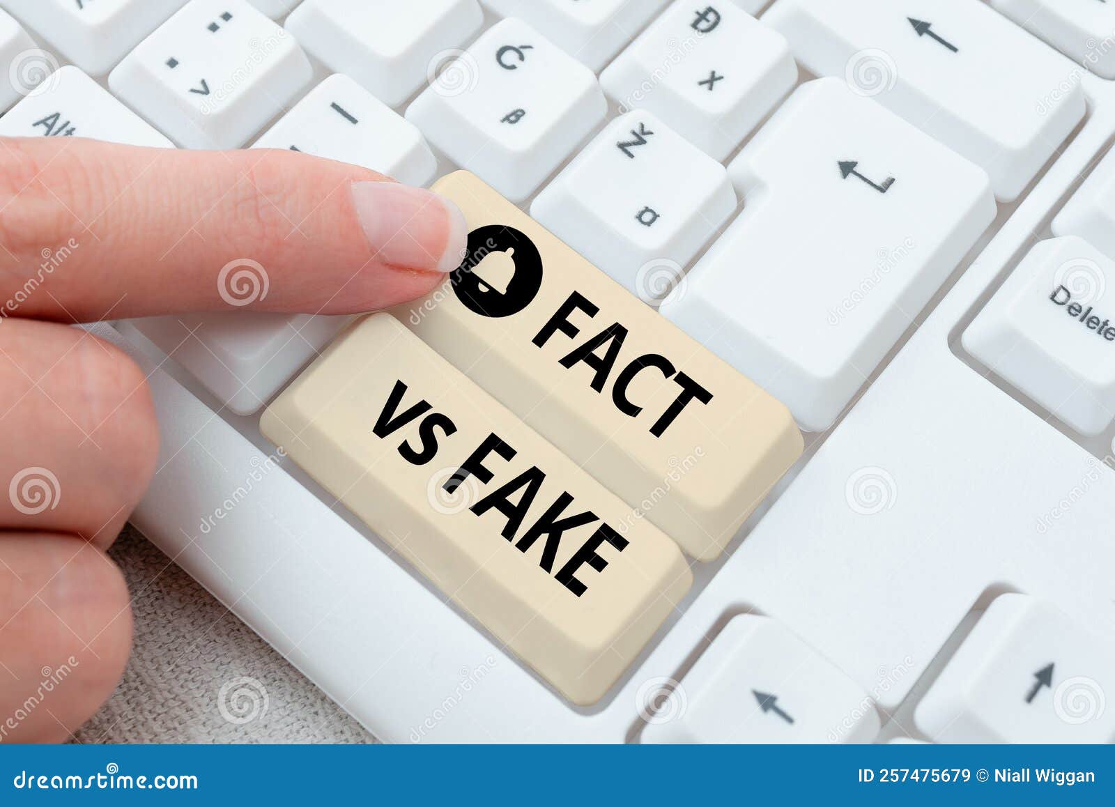 sign displaying fact vs fake. concept meaning rivalry or products or information originaly made or imitation