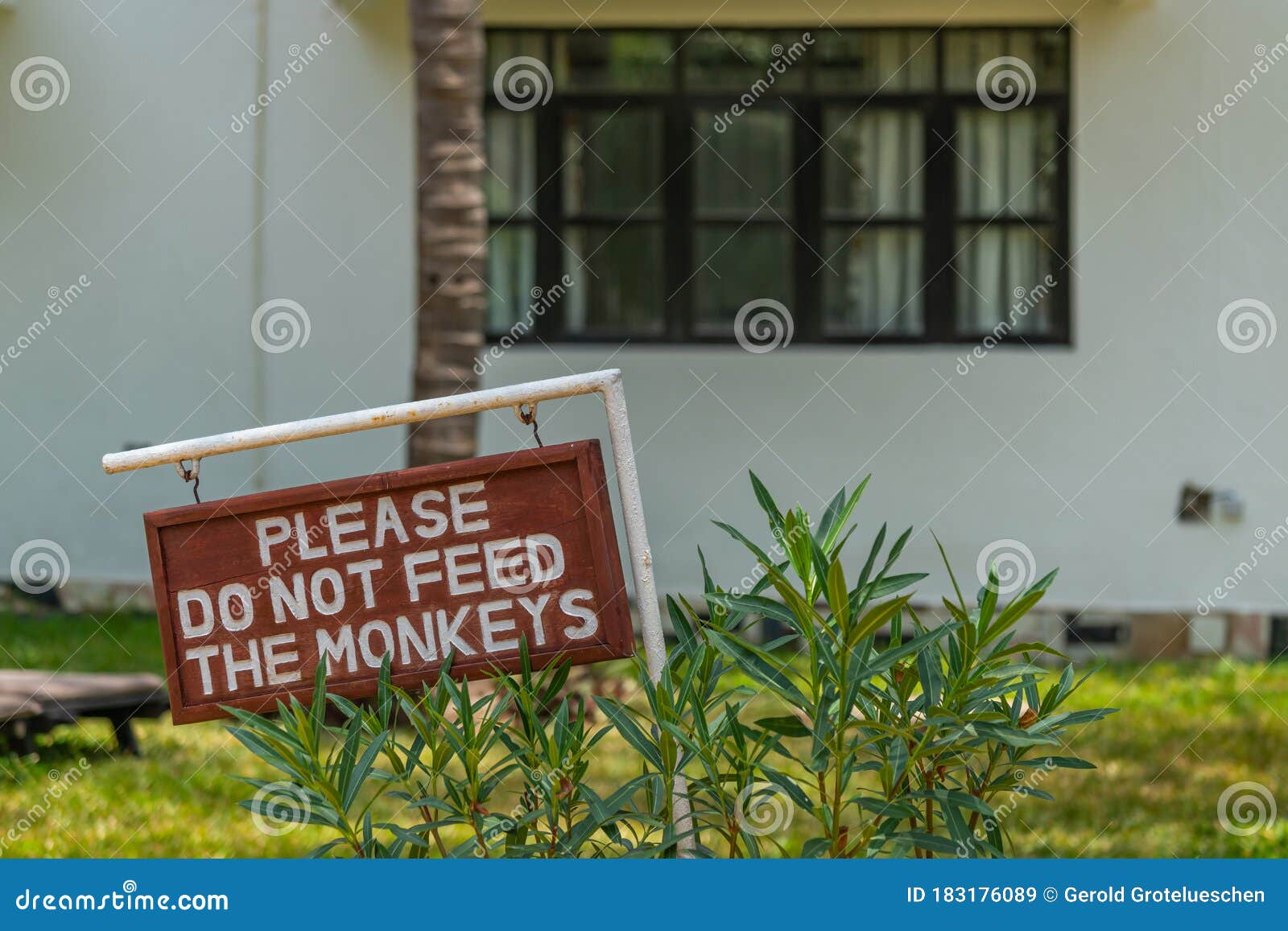 Do Not Feed The Monkeys Download Free Do Not Feed The Monkeys Download Free