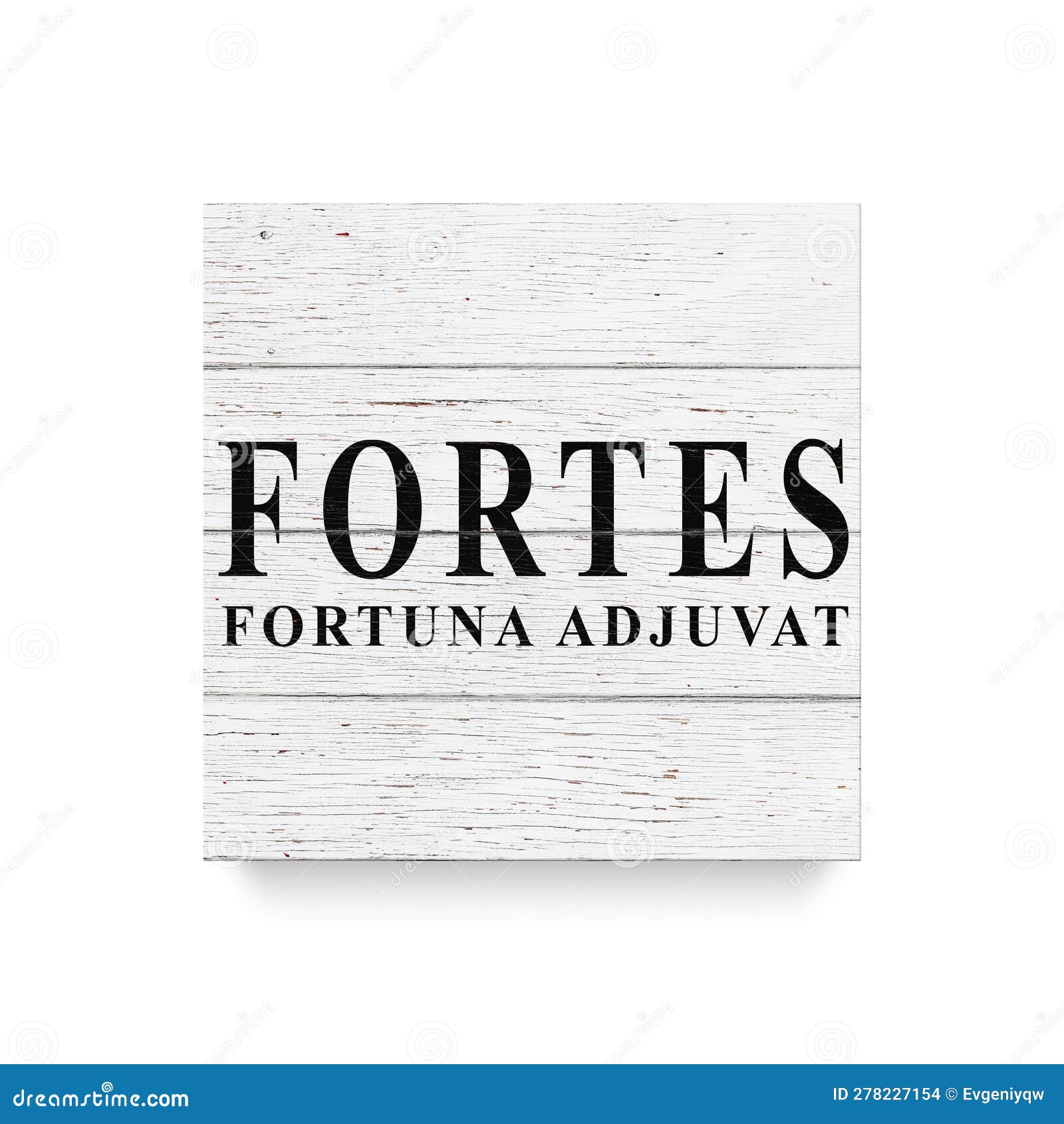 Sign Fortes Fortuna Adjuvat - Fortune Favors the Brave. White Wooden Wall,  Boards Stock Photo - Image of light, floor: 278227154