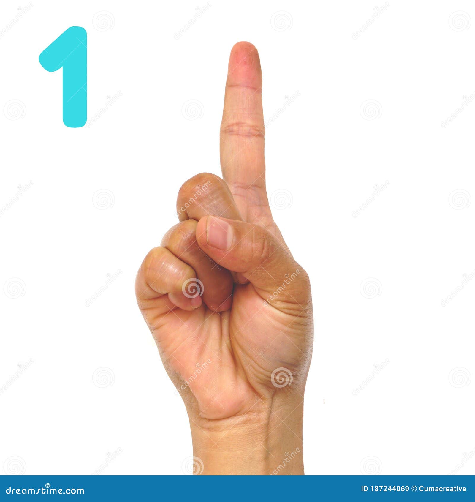 Sign Language Number 1 for the Deaf . Finger Spelling ASL. Hand Gesture