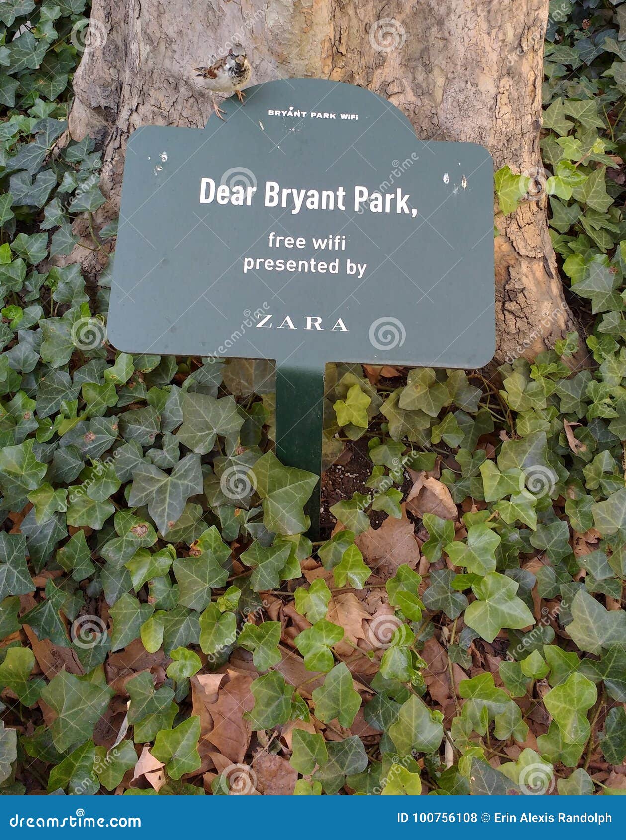 zara near bryant park