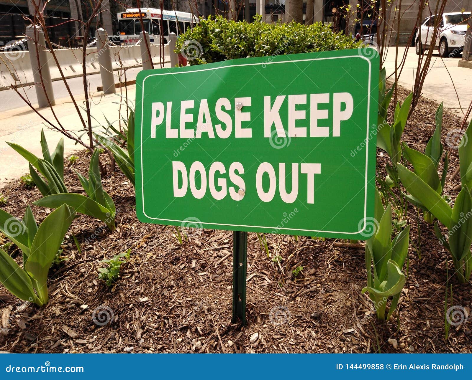 Sign Please Keep Dogs Out Stock Photo Image Of Garden 144499858