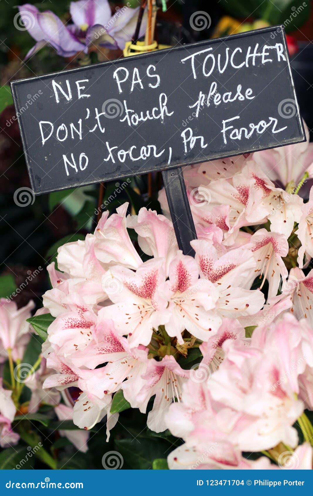 florist shop flowers dont touch sign