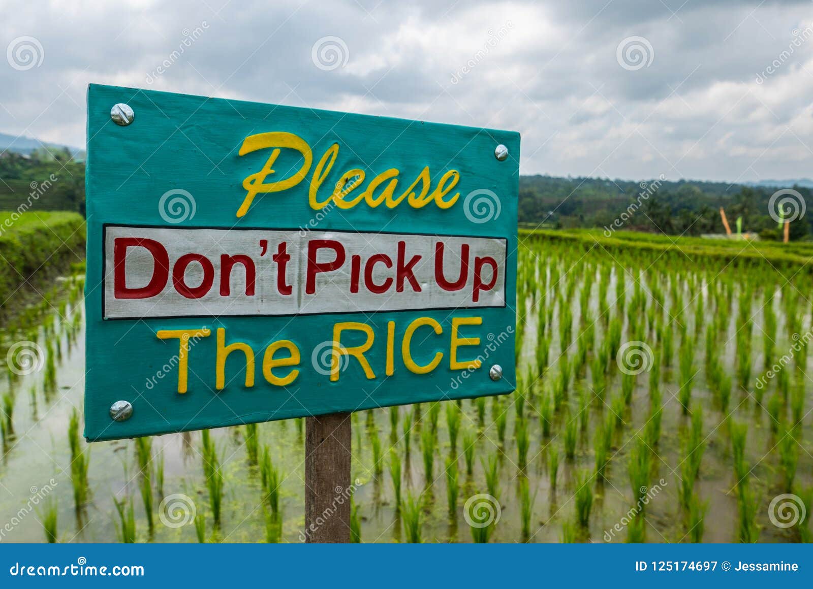 The Sign Protecting Rice in Rice Fields Stock Image Image of terrace