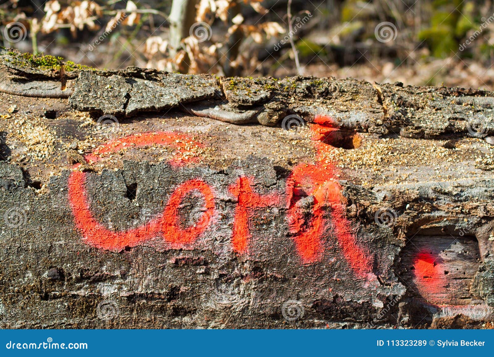 sign on a treetrunk