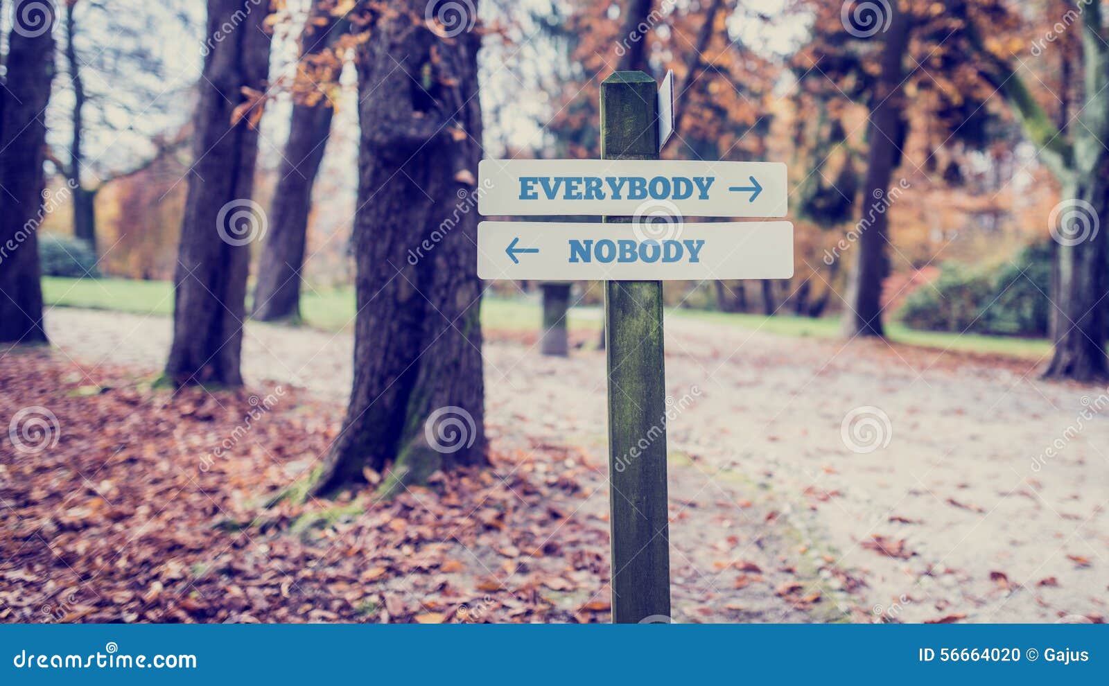 signpost with arrows pointing two opposite directions towards everybody and nobody