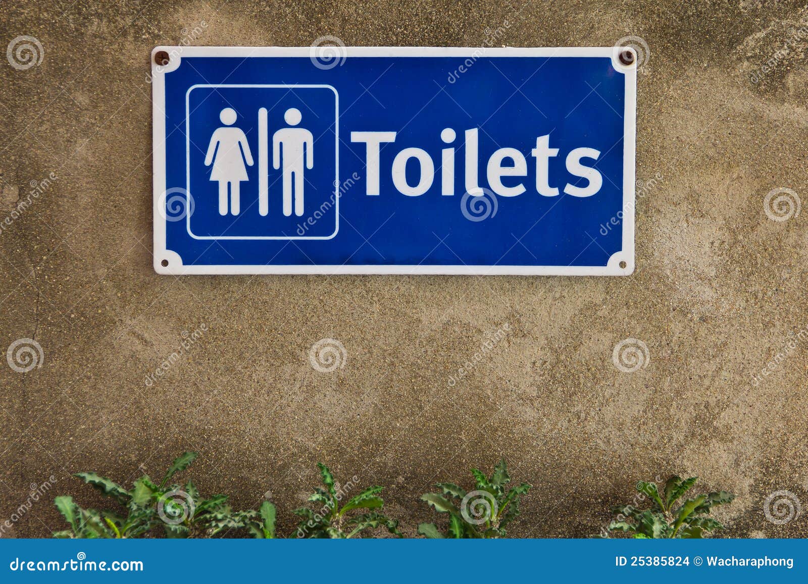Signs on the toilet wall. stock photo. Image of couple 25385824