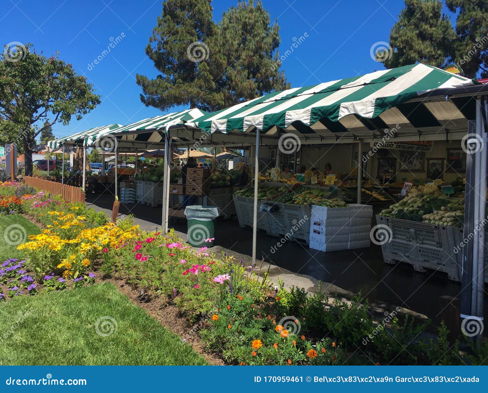 Canopy Farmers Market Stock Photos Free & RoyaltyFree Stock Photos