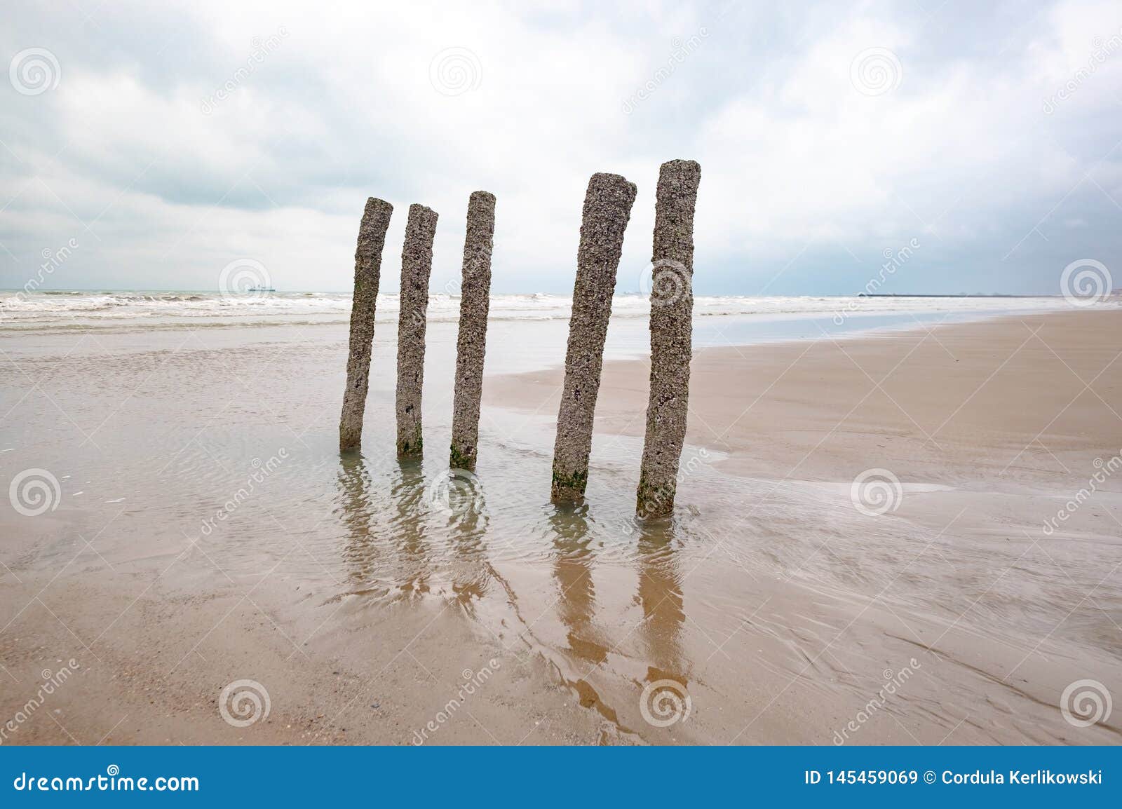 6,117,168 Photos de Plage - Photos de stock gratuites et libres de