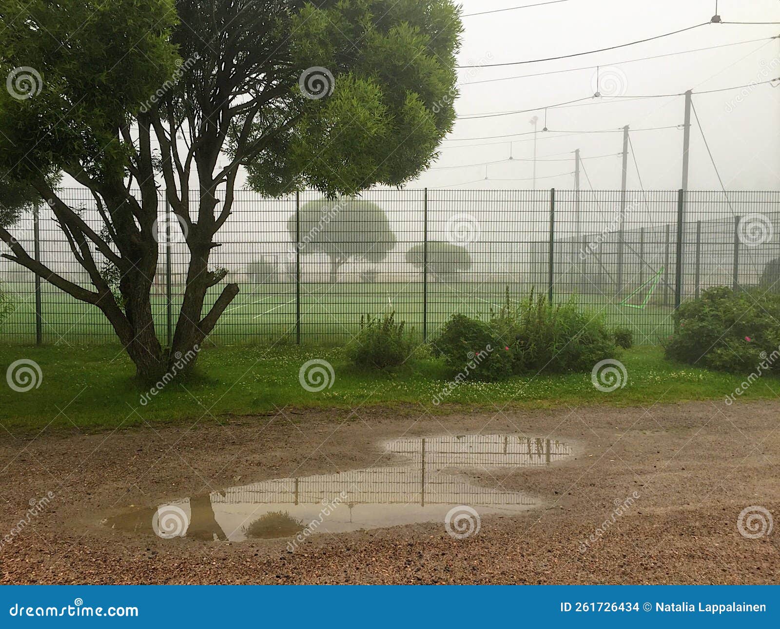 silent foggy desert landscape with puddle on the footpath, trees and palying field behinde the net fence