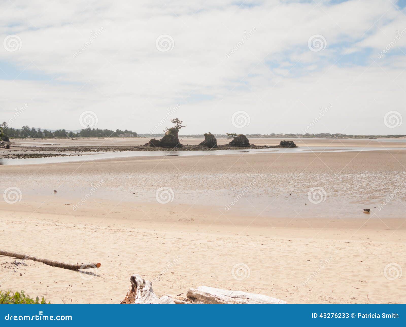 Siletz Bay Rocks stock image. Image of rocks, shore, tree 43276233