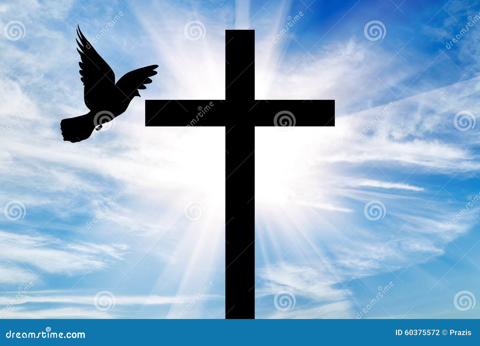 Apt Varken Grondig Silhouet Van Een Kruis En Een Duif Stock Foto - Image of jezus, gebed:  60375572