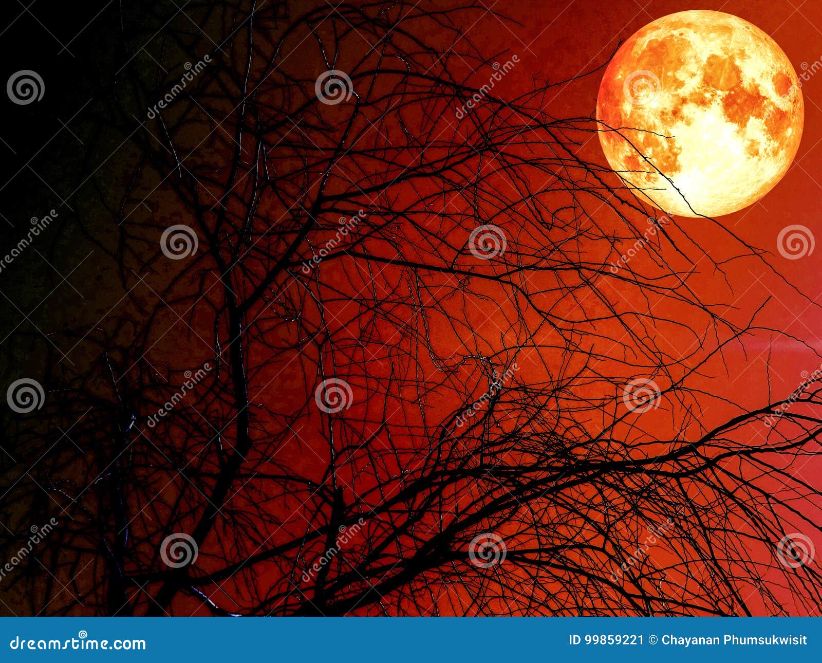 silhouete dead dry tree and blood moon red sky